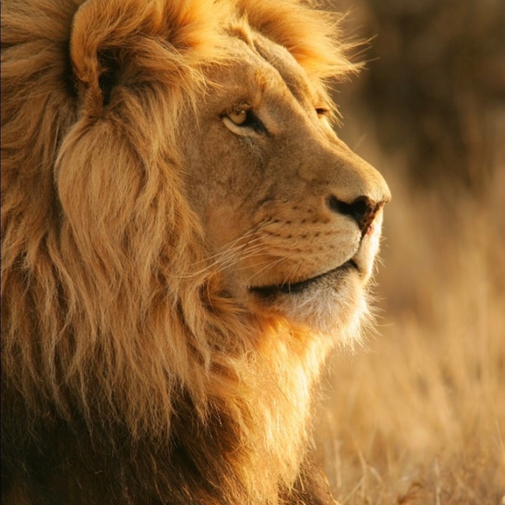 Meet your Posher, Ericson